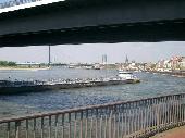 Rhein